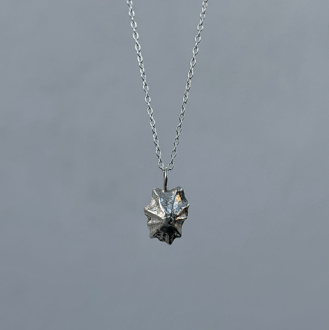 Limpet Shell Necklace