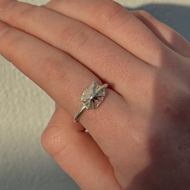 Silver Limpet Shell Ring
