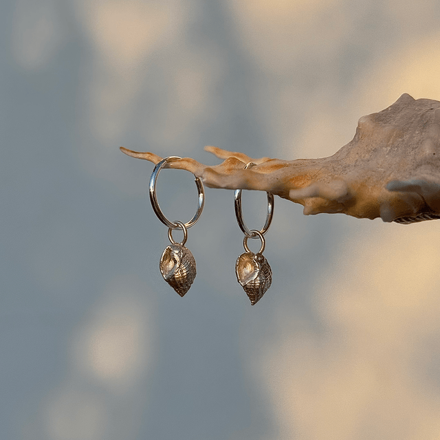 Spiral Shell Earrings