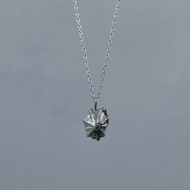 Limpet Shell Necklace